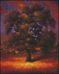 (image for) Sunset Upon the Oak